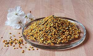 MULTIPURPOSE TEMPLATE